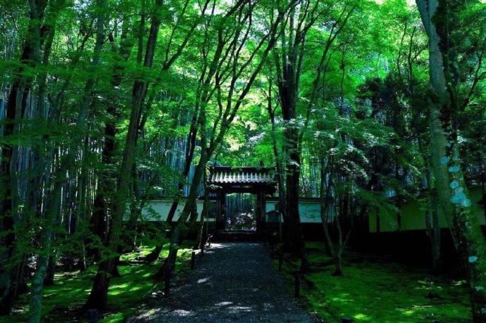 Kyoto-Toji House Aparthotel Exterior photo
